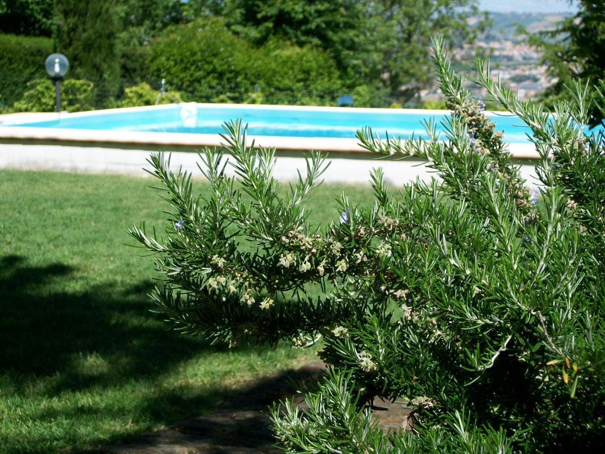 Montesilvano Marina B&B Luna Blu מראה חיצוני תמונה