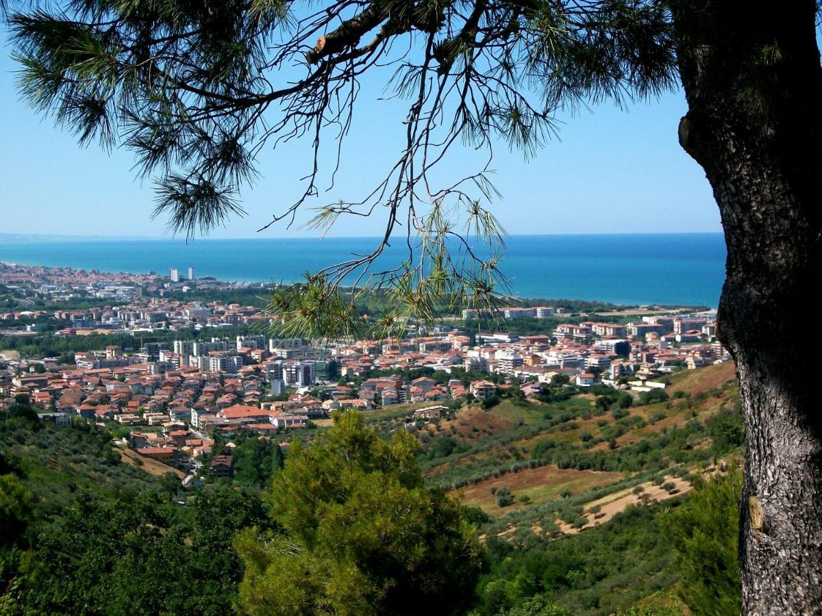 Montesilvano Marina B&B Luna Blu מראה חיצוני תמונה