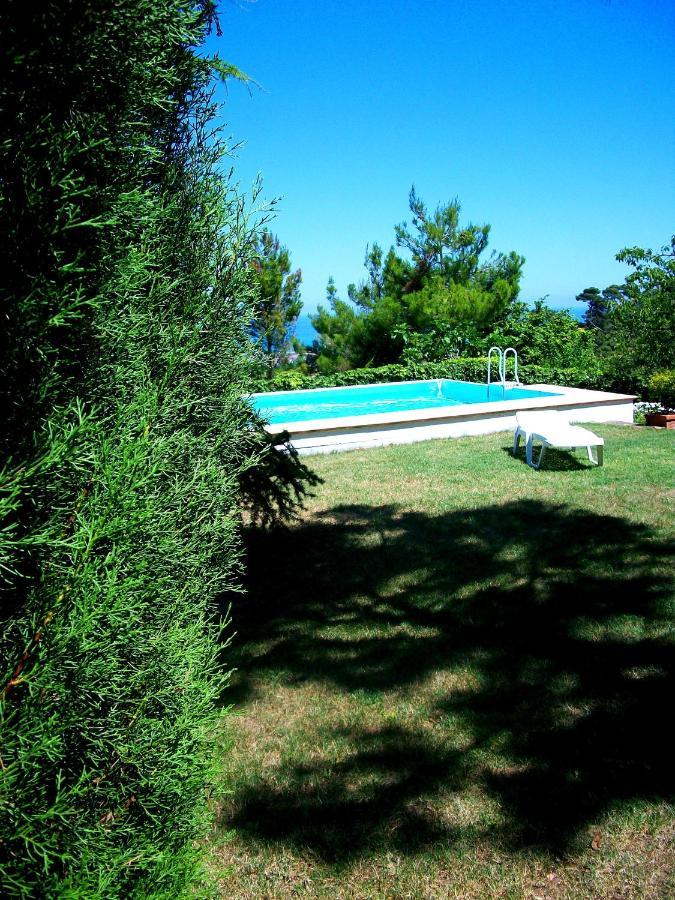 Montesilvano Marina B&B Luna Blu מראה חיצוני תמונה