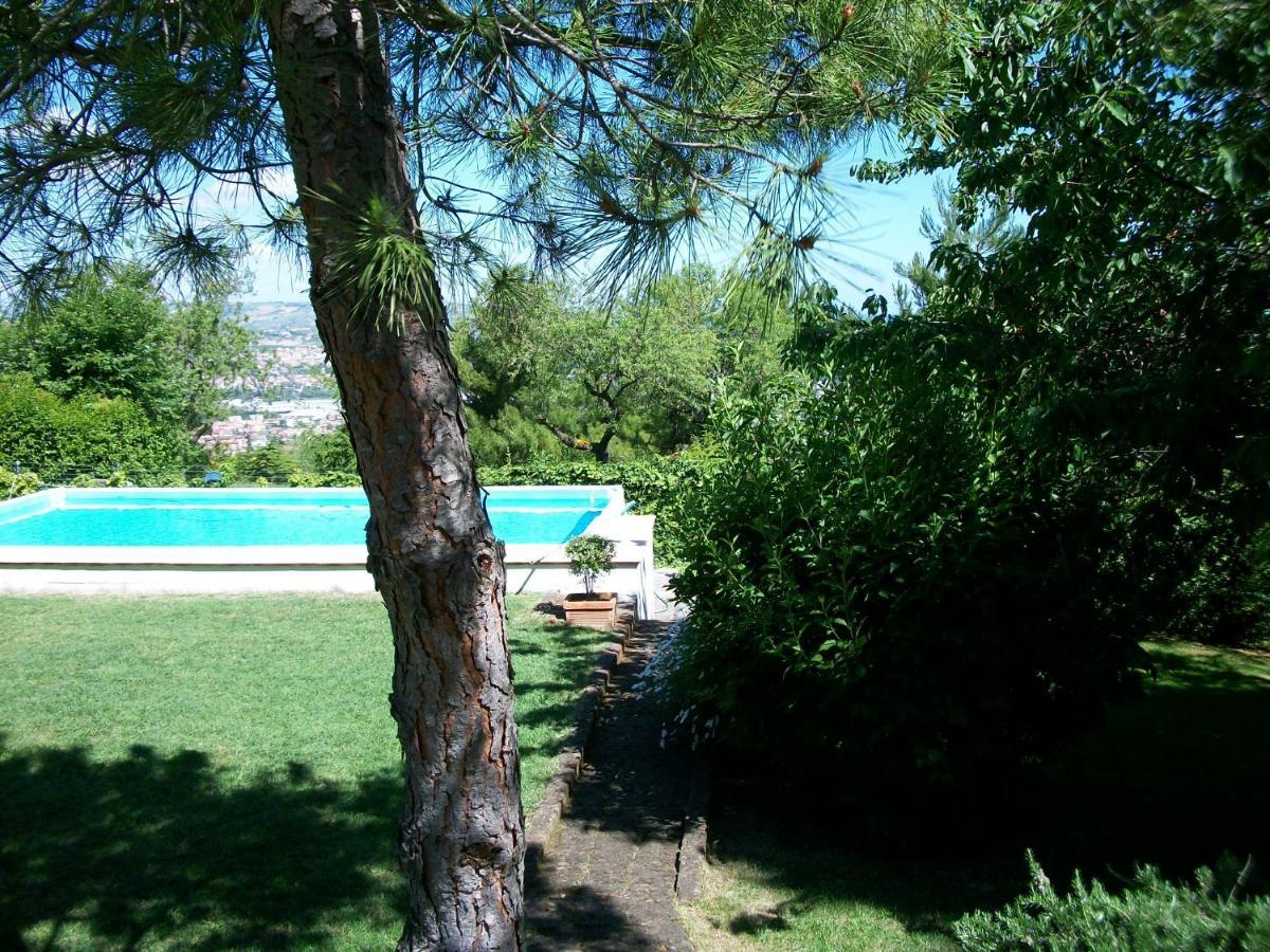 Montesilvano Marina B&B Luna Blu מראה חיצוני תמונה